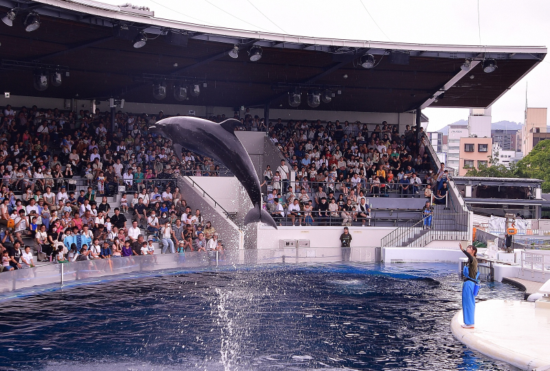 Https Syoujukai Kinki A Top Data E3 81 8f E3 81 9a E3 81 Af Ef